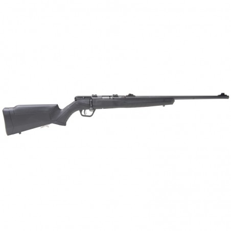 Savage B17, Bolt, 17HMR, 21", Black, Synthetic, Right Hand, 10Rd Rotary Magazine, Button-Rifled, 10Rd, AccuTrigger 70800