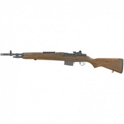 Springfield M1A