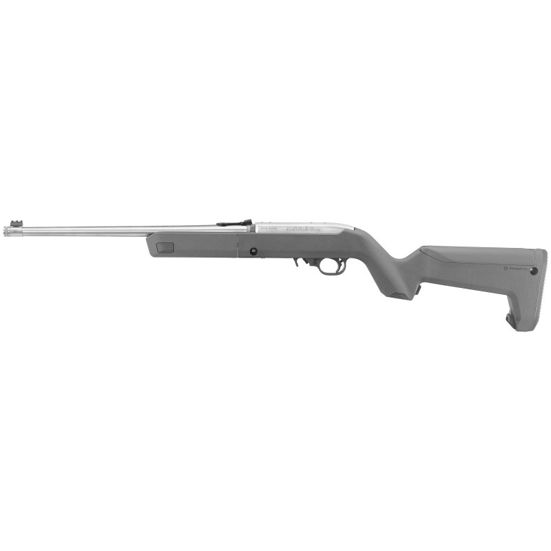 Ruger 10/22