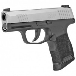 View 3 - Sig Sauer P365