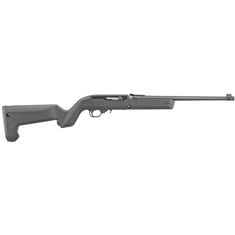 Ruger 10/22