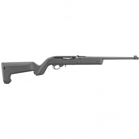 Ruger 10/22