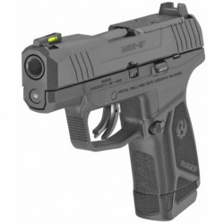 View 3 - Ruger MAX-9