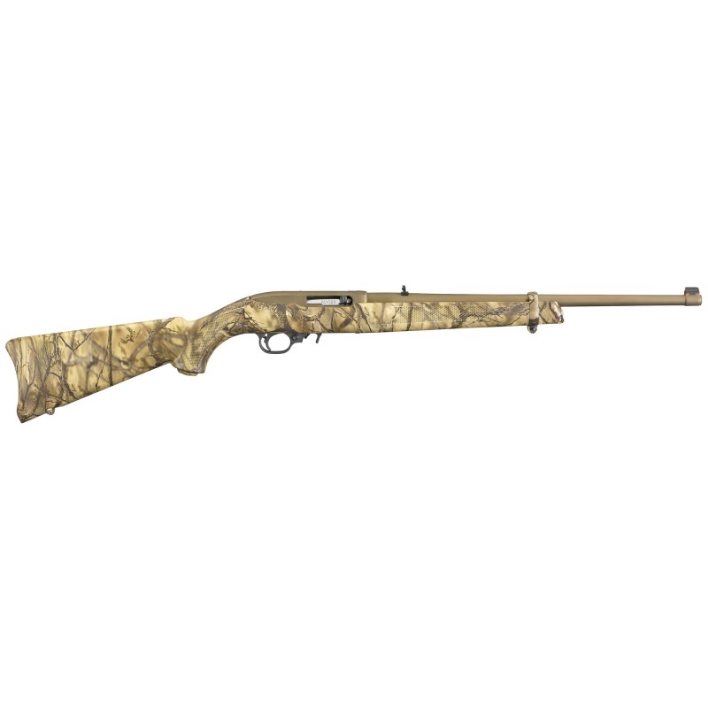 Ruger 10/22