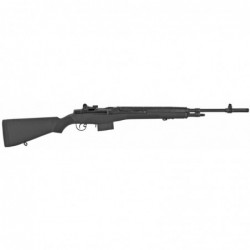 View 2 - Springfield M1A Standard Loaded