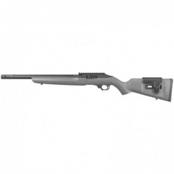 Ruger 10/22