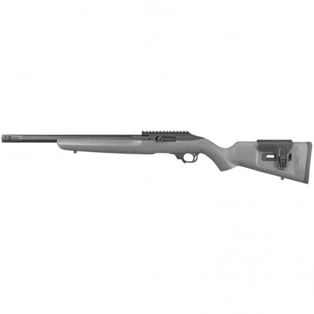 Ruger 10/22