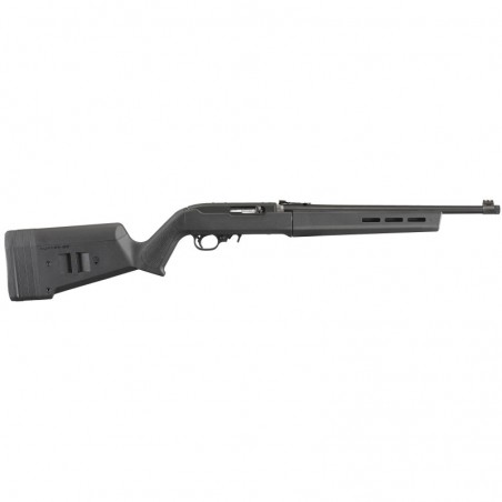 Ruger 10/22