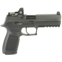 View 2 - Sig Sauer P320