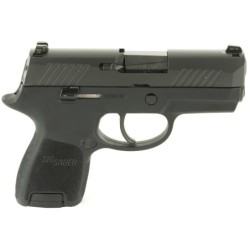 View 2 - Sig Sauer P320