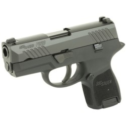 View 3 - Sig Sauer P320