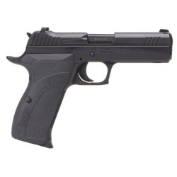 View 2 - Sig Sauer P210 Carry