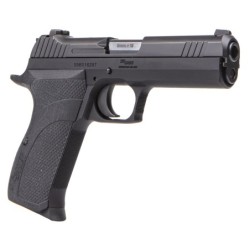 View 3 - Sig Sauer P210 Carry