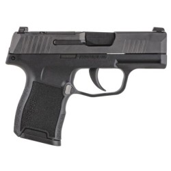 View 2 - Sig Sauer P365