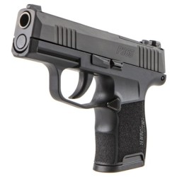 View 3 - Sig Sauer P365