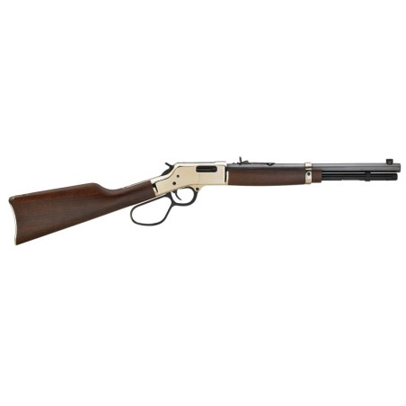 Henry Repeating Arms Big Boy Large Loop