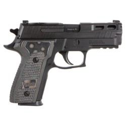 View 2 - Sig Sauer P229