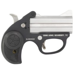 View 2 - Bond Arms Stinger