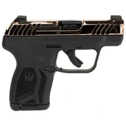 View 2 - Ruger LCP MAX