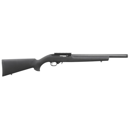 Ruger 10/22