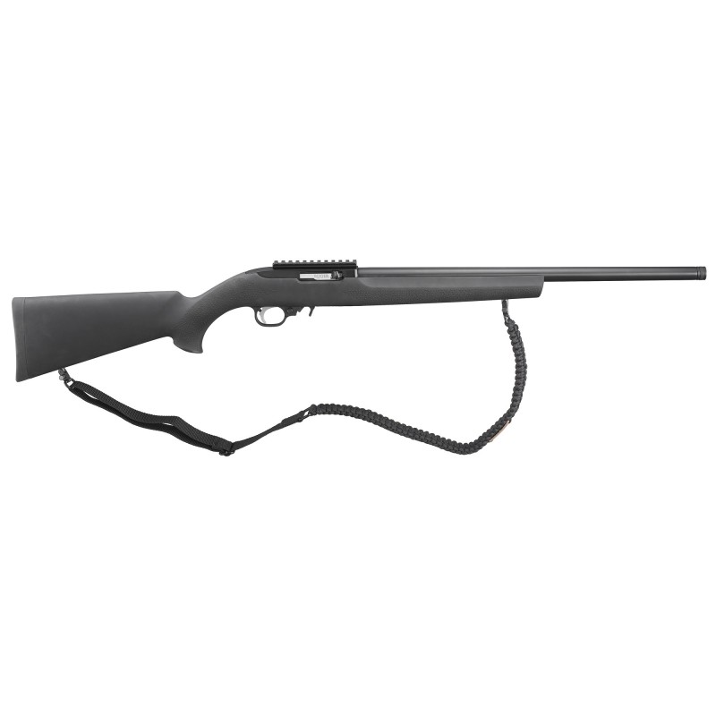 Ruger 10/22