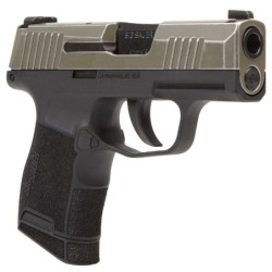 View 2 - Sig Sauer P365