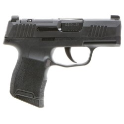 View 2 - Sig Sauer P365