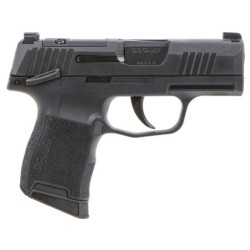 View 2 - Sig Sauer P365