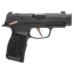 View 2 - Sig Sauer P365