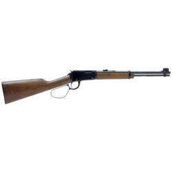 View 1 - Henry Repeating Arms Lever Action