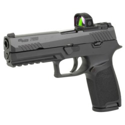 View 3 - Sig Sauer P320 RXP