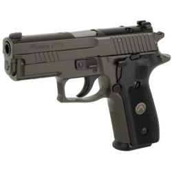 View 3 - Sig Sauer P229