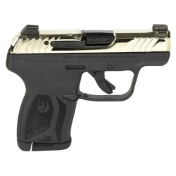 View 2 - Ruger LCP MAX