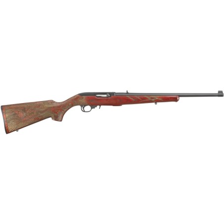 Ruger 10/22