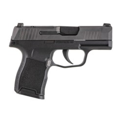 View 2 - Sig Sauer P365