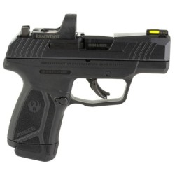 View 2 - Ruger MAX-9