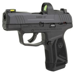 View 3 - Ruger MAX-9