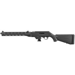 View 1 - Ruger PC Carbine