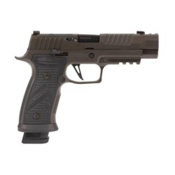 View 2 - Sig Sauer P320