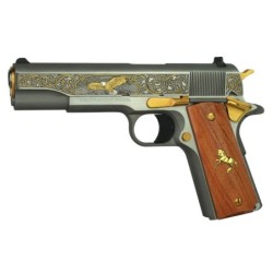 View 1 - Colt's Manufacturing 1911C