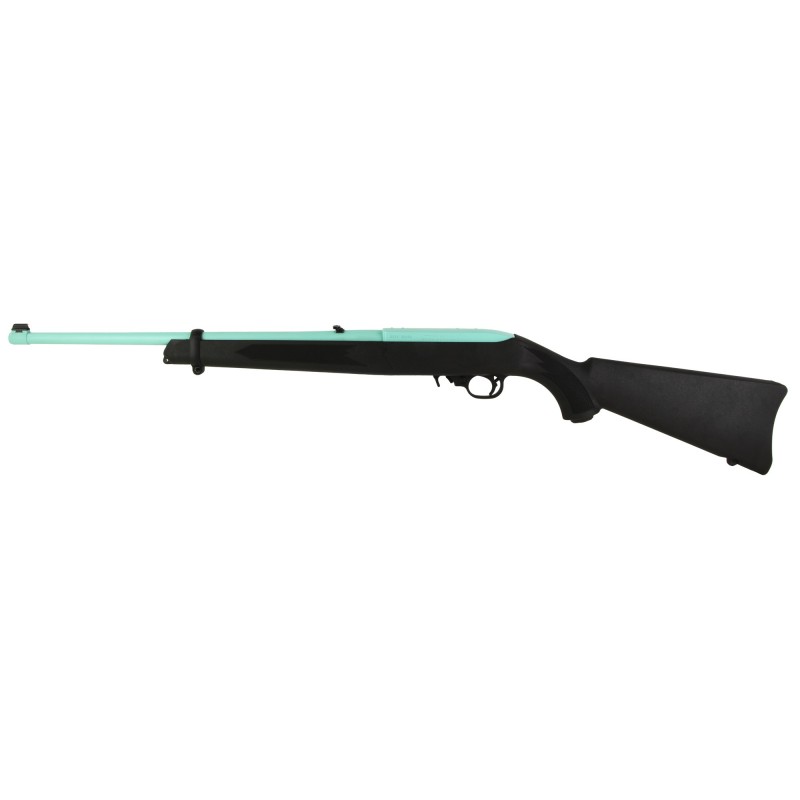 Ruger 10/22 Carbine