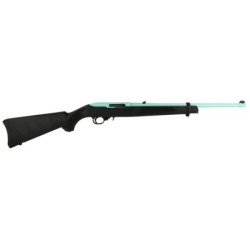 View 2 - Ruger 10/22 Carbine