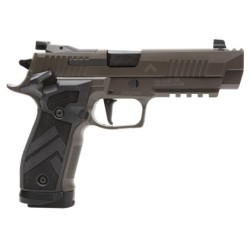 View 2 - Sig Sauer P226