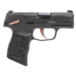 View 2 - Sig Sauer P365