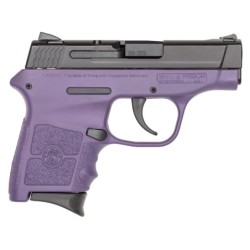 View 2 - Smith & Wesson M&P Bodyguard