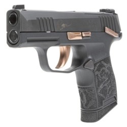 View 3 - Sig Sauer P365