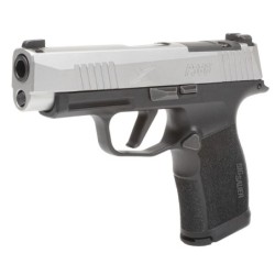 View 3 - Sig Sauer P365XL