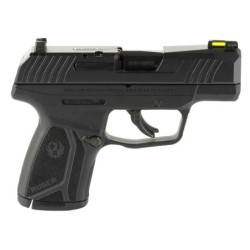 View 2 - Ruger MAX-9