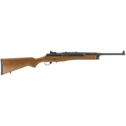 View 2 - Ruger Mini-14 Ranch