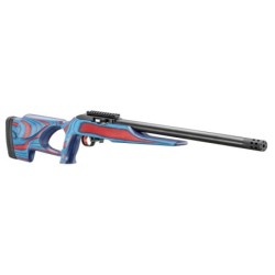 View 2 - Ruger 10/22 USA Shooting 2024